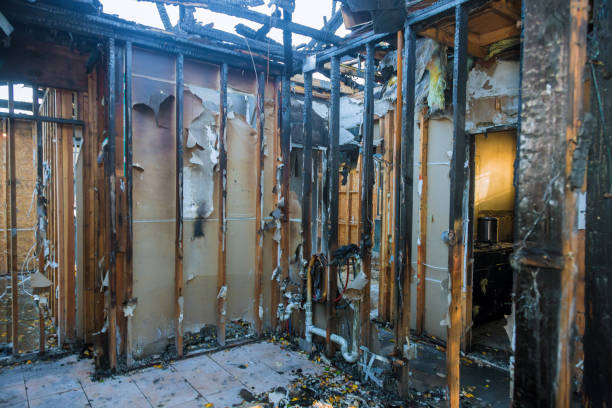 Professional Fire Damage Removal technician working in Houston, PA